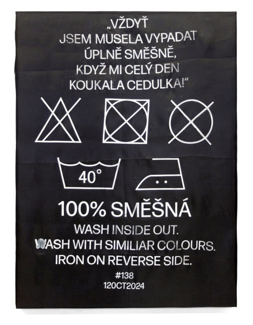 GDE_2024_3r_Miksovicova_Anna_19