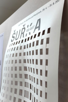 GDE_24_TON_Jurkasova_Adela_08